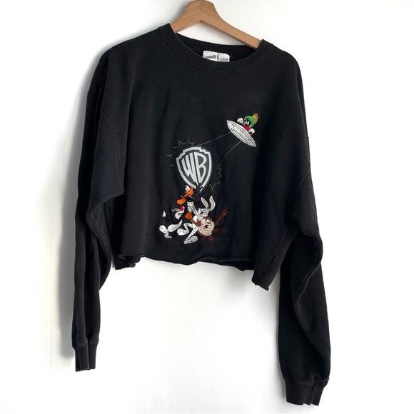 Vintage Warner Brothers Crewneck sweatshirt size large cropped - Picture 1 of 8